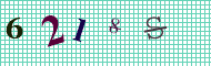CAPTCHA code